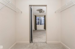 Walk-in closet featuring wire shelving on opposing walls and carpet flooring - 