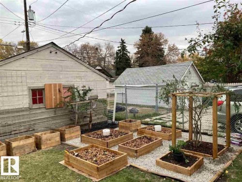 Expansive backyard with a manicured lawn, multiple raised garden beds, and a wood trellis structure - 9332 106A Avenue Nw, Edmonton, AB 