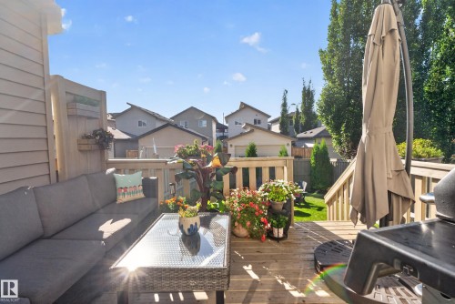 6722 Cardinal Road Sw, Edmonton, AB 