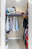 Walk-in closet featuring wire shelving, hanging rods, and neutral-toned carpeting - 