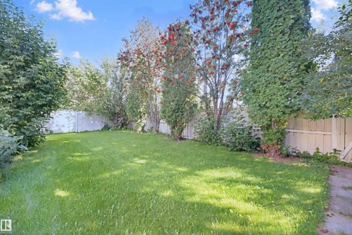 Expansive lawn area bordered by a privacy fence and mature trees - 5107 17 Avenue Nw, Edmonton, AB 