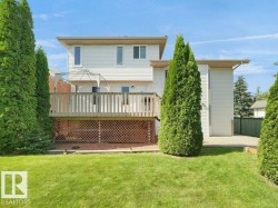 Expansive green lawn with mature evergreen trees and a raised wood deck - 