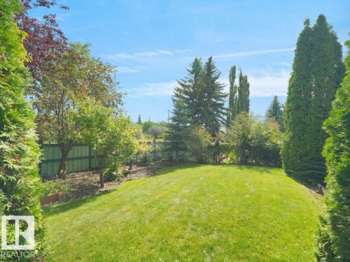 Expansive green lawn surrounded by mature trees, privacy landscaping, and a wood fence - 535 Pardee Bay Nw, Edmonton, AB 