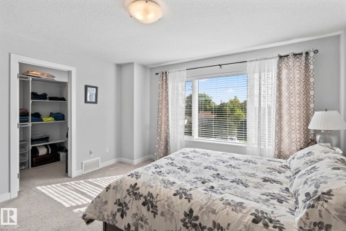 Recessed closet with built-in shelving, large window with blinds, light-colored walls, and neutral carpeting - 10338 162St Nw, Edmonton, AB 