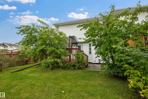 View of back yard with fruit trees, deck and stone patio - 6910 158A Avenue Nw, Edmonton, AB 