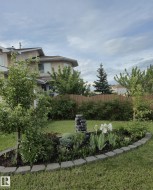 View of front yard - 