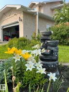 View of front yard - 