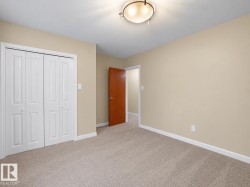 Plush carpet flooring, neutral paint palette, white bi-fold closet doors, and an overhead flush-mount light fixture - 