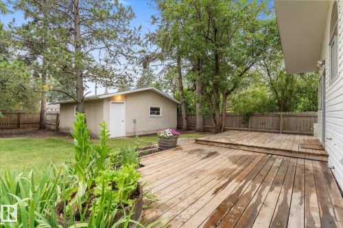Expansive outdoor deck with a raised section, surrounded by mature trees, a detached stucco-finish outbuilding, and a wood privacy fence - 11311 Malmo Road Nw, Edmonton, AB 