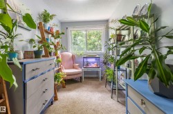 Bright room featuring a window with exterior tree views, light-toned carpeting, and light blue wall tones - 