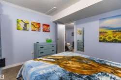 Carpeted room with light blue walls and crown molding - 