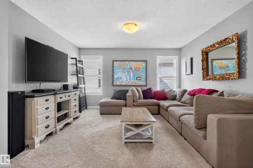 Plush wall-to-wall carpeting, dual windows with blinds, a ceiling-mounted light fixture, and a built-in media console - 22933 94A Avenue Nw, Edmonton, AB 