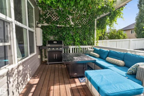 Expansive wood-finish deck with a built-in lattice wall and overhead trellis, featuring mature vine coverage - 22933 94A Avenue Nw, Edmonton, AB 