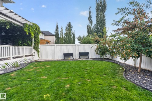 Enclosed backyard featuring a manicured lawn, established landscaping with trees, and a privacy fence - 22933 94A Avenue Nw, Edmonton, AB 