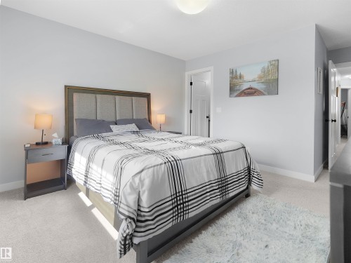 Plush carpet flooring complements light wall tones - 6656 Cardinal Rd Sw, Edmonton, AB 