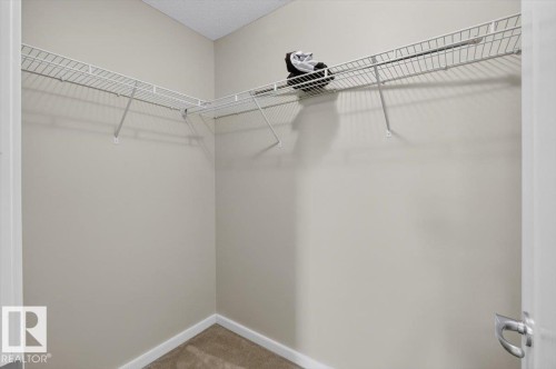 Walk-in closet with wire shelving system, light neutral wall paint, and beige carpet flooring - #316 392 Silver Berry Rd Nw, Edmonton, AB - Indoor With Storage