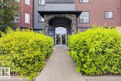 Building entrance featuring a concrete pathway, stone archway, frosted glass double doors, and vibrant green shrubbery - #316 392 Silver Berry Rd Nw, Edmonton, AB - Outdoor