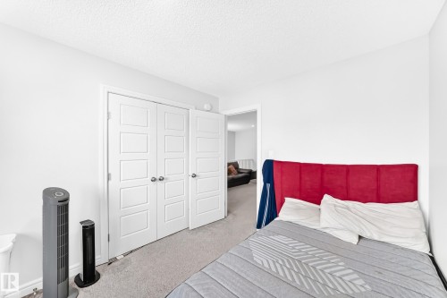 White walls with light-toned carpeting and white panel doors - 2628 Donaghey Crescent Sw, Edmonton, AB 