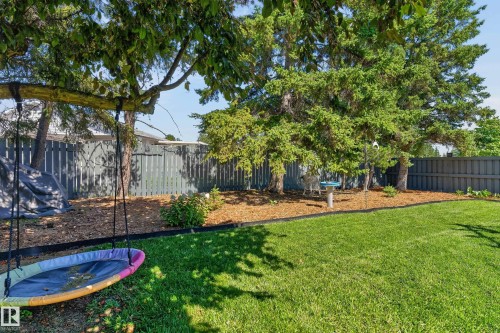 Expansive lawn area, mature trees, wood chip landscaping, and privacy fencing - 18316 71 Avenue Nw, Edmonton, AB 