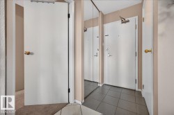 Tile flooring at entry - 