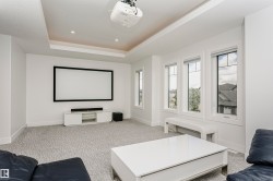 Recessed lighting, tray ceiling, integrated projection screen, multiple windows, and patterned carpeting - 