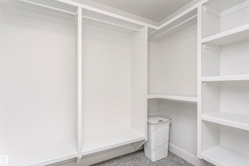 Custom built-in shelving, white finish cabinetry, integrated hanging rods, and gray-toned carpet - 9107 181 Avenue Nw, Edmonton, AB 