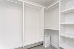 Custom built-in shelving, white finish cabinetry, integrated hanging rods, and gray-toned carpet - 