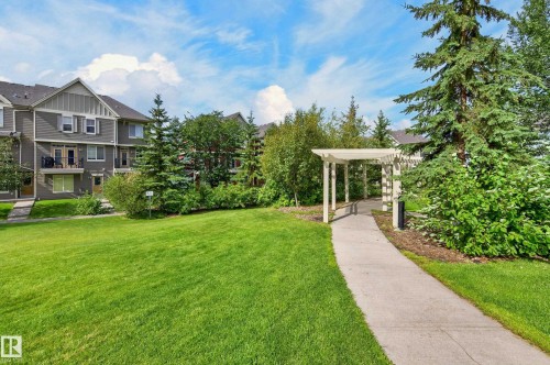 Expansive green space featuring a concrete pathway, white pergola, and mature trees - #72 603 Watt Bv Sw Sw, Edmonton, AB 