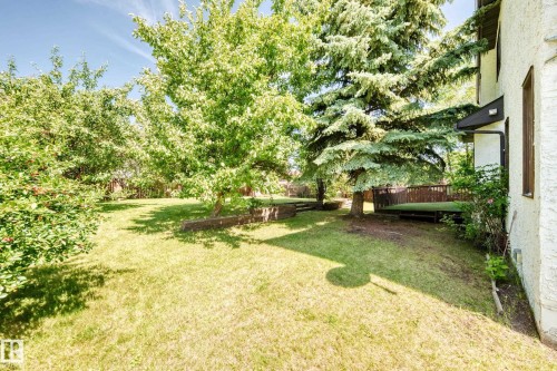Expansive backyard with a large lawn, mature trees, and a multi-level wood deck - 4208 Ramsay Road Nw, Edmonton, AB 
