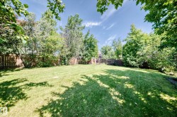 Expansive lawn area surrounded by mature trees and a wood fence - 
