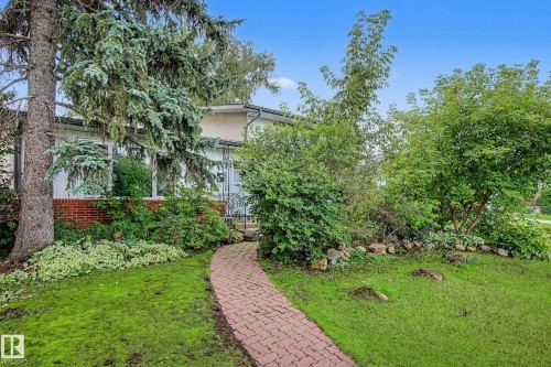 Brick paver pathway with established landscaping - 11431 51 Avenue Nw, Edmonton, AB 