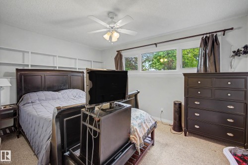 Integrated wall shelving, ceiling fan with light fixture, multiple windows, and light-toned carpet - 11431 51 Avenue Nw, Edmonton, AB 
