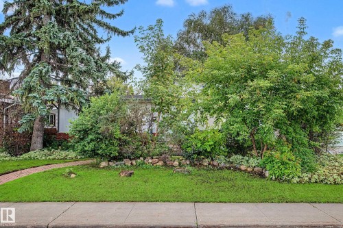 Manicured lawn with mature trees, established landscaping, and a brick-finish pathway - 11431 51 Avenue Nw, Edmonton, AB 