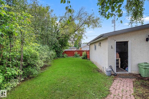 Expansive grassy yard with mature perimeter foliage, a red privacy fence, and a paved brick pathway leading to the stucco-finished structure - 11431 51 Avenue Nw, Edmonton, AB 