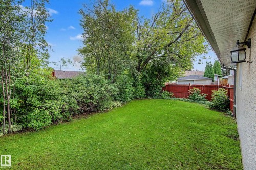 Expansive green lawn surrounded by mature trees and shrubs, featuring a red wood privacy fence - 11431 51 Avenue Nw, Edmonton, AB 