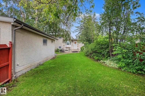 Expansive green lawn with mature trees and established shrubbery, offering a private outdoor space - 11431 51 Avenue Nw, Edmonton, AB 