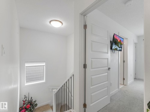 Carpeted staircase with black metal balusters, white window with blinds, and white panel doors - 3807 Weidle Crescent Sw, Edmonton, AB 