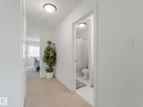 Carpeted hallway with flush-mount lighting, leading to a room with white window coverings and a bathroom with tile flooring - 3807 Weidle Crescent Sw, Edmonton, AB 