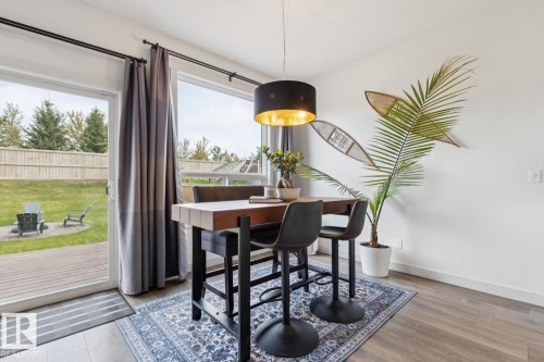 Sliding glass door, wood-finish flooring, white walls, drum pendant light fixture, outdoor wooden fence - 22434 99A Avenue Nw, Edmonton, AB 