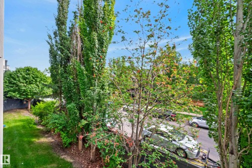 Lush landscaping with mature trees and green foliage - #210 10121 80 Av Nw, Edmonton, AB 