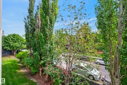 Lush landscaping with mature trees and green foliage - 