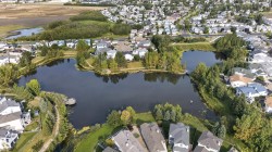 Residential area surrounding a pond with a walking path, mature trees, and nearby open green spaces - 