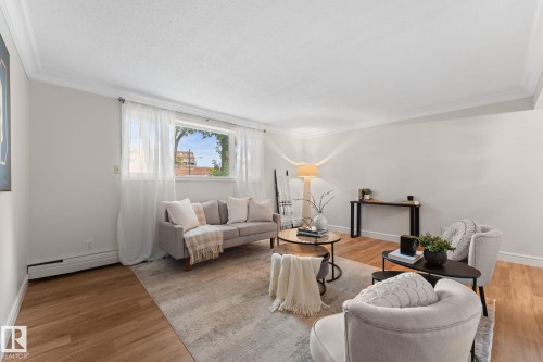Hardwood-style flooring throughout, crown molding detailing, and a large window providing ambient light - #106 10735 81 Av Nw, Edmonton, AB 