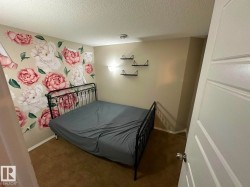 Carpeted flooring with a decorative accent wall and ceiling-mounted lighting - 