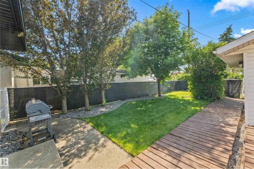 Landscaped backyard featuring a manicured lawn, established trees, and a wooden pathway - 13320 123 Street Nw, Edmonton, AB - Outdoor With Deck Patio Veranda