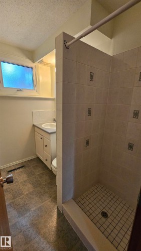 Basement bathroom - 13439 114 Street Nw, Edmonton, AB 