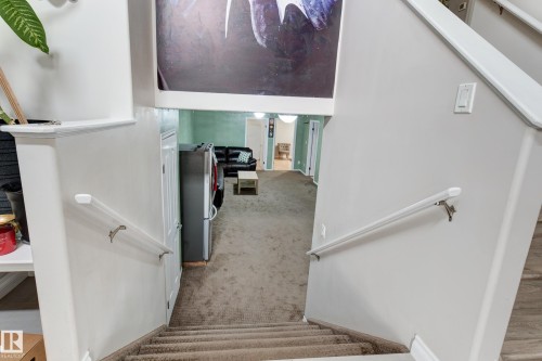 Carpeted staircase with white handrails - 3519 22 Street Nw, Edmonton, AB 