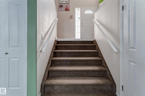 Carpeted staircase with white handrails and painted walls - 3519 22 Street Nw, Edmonton, AB 