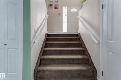 Carpeted staircase with white handrails and painted walls - 
