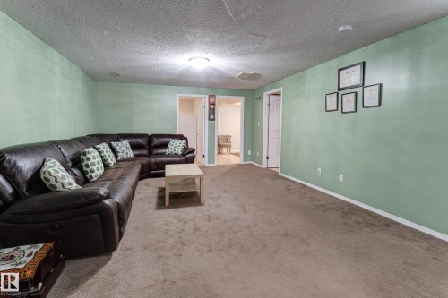 Carpeting throughout with light green walls and white trim - 3519 22 Street Nw, Edmonton, AB 